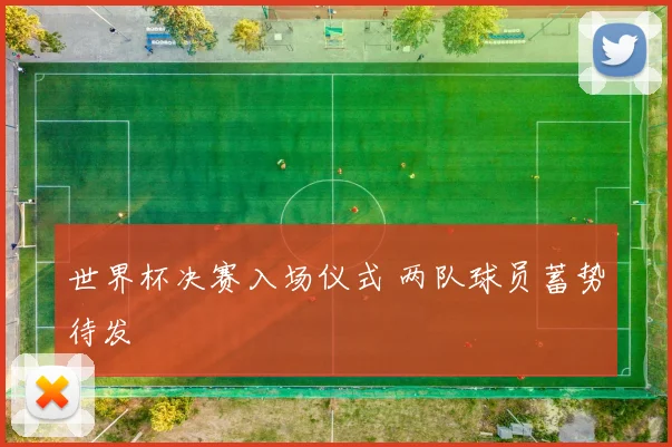 世界杯决赛入场仪式 两队球员蓄势待发