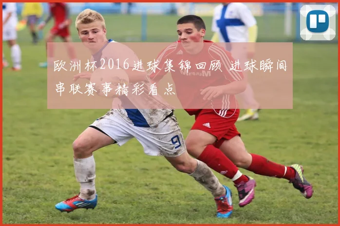 欧洲杯2016进球集锦回顾 进球瞬间串联赛事精彩看点